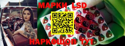 гидра Братск