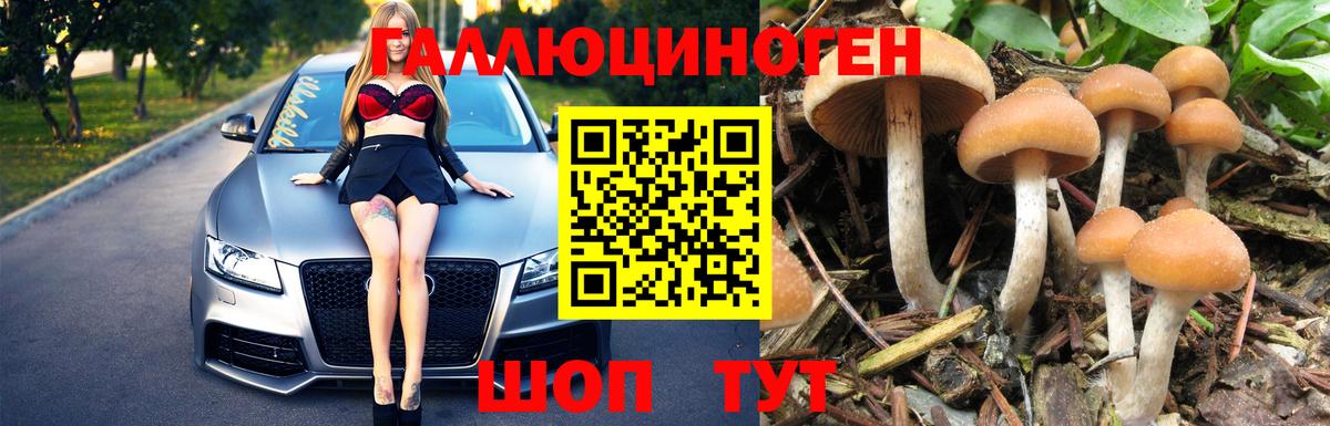 Галлюциногенные грибы Cubensis Каменка