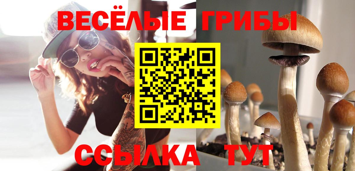 Каменка  Галлюциногенные грибы Magic Shrooms  Псилоцибиновые грибы GOLDEN TEACHER  Вход с VPN 